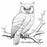 Realistic Owl Coloring Pages 4