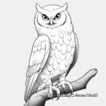 Realistic Owl Coloring Pages for Night Owls 2