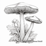 Realistic Oyster Mushroom Coloring Pages for Children 2