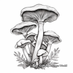 Realistic Oyster Mushroom Coloring Pages for Children 3