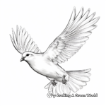 Realistic Peace Dove Coloring Sheets 1