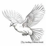 Realistic Peace Dove Coloring Sheets 2