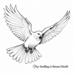Realistic Peace Dove Coloring Sheets 4