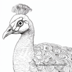 Realistic Peacock Coloring Sheets 1
