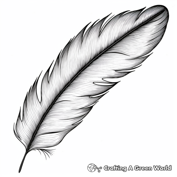 Peacock Feather Coloring Pages - Free & Printable!