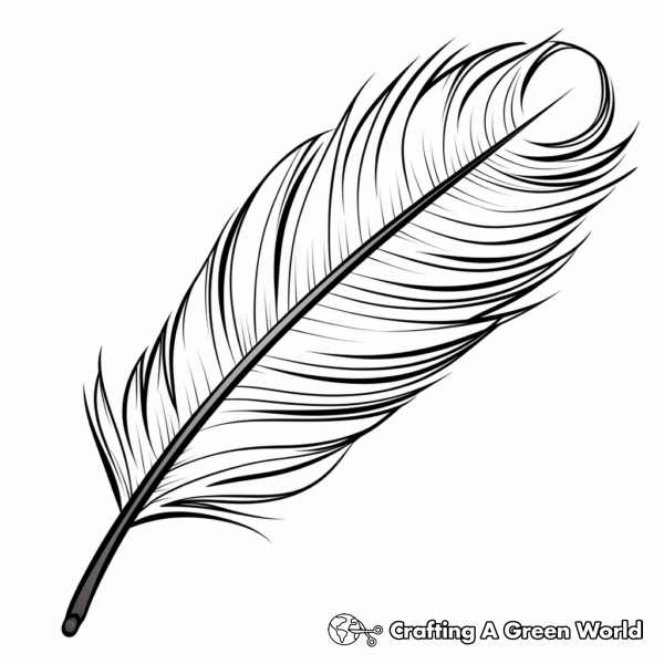 Peacock Feather Coloring Pages - Free & Printable!