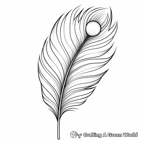 Peacock Feather Coloring Pages Free & Printable!