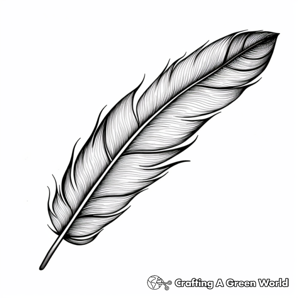 Peacock Feather Coloring Pages - Free & Printable!