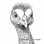 Realistic Peacock Portrait Coloring Pages 2