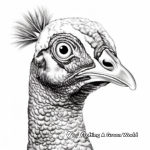 Realistic Peacock Portrait Coloring Pages 3