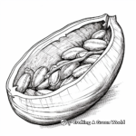 Realistic Pecan Shell Coloring Pages 1
