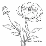 Realistic Peony Bud Coloring Pages 4