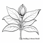 Realistic Peppermint Herb Coloring Pages 2