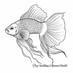 Realistic Plakat Betta Fish Coloring Pages 1
