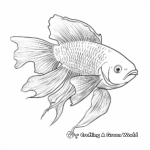 Realistic Plakat Betta Fish Coloring Pages 2