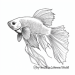 Realistic Plakat Betta Fish Coloring Pages 3