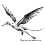 Realistic Pterodactyl in Flight Coloring Pages 3