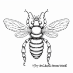 Realistic Queen Bee Diagram Coloring Pages 1