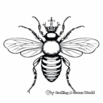 Realistic Queen Bee Diagram Coloring Pages 4