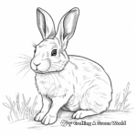 Realistic Rabbit Coloring Pages for Adults 1