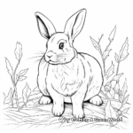 Realistic Rabbit Coloring Pages for Adults 3