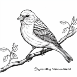 Realistic Redpoll Bird Coloring Sheets 2
