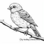 Realistic Redpoll Bird Coloring Sheets 3