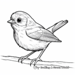 Realistic Robin Coloring Pages 1