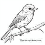 Realistic Robin Coloring Pages 3