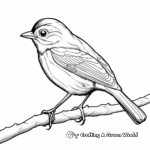 Realistic Robin Coloring Pages 4