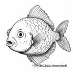 Realistic Round Sunfish Coloring Sheets 3