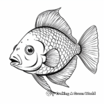 Realistic Round Sunfish Coloring Sheets 4
