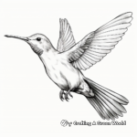 Realistic Rufous Hummingbird Coloring Pages 2