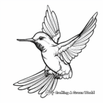 Realistic Rufous Hummingbird Coloring Pages 4