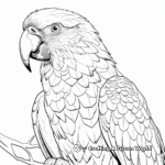 Realistic Scarlet Macaw Coloring Pages 1