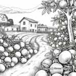 Realistic Scenes of Orange Grove Coloring Pages 1