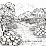 Realistic Scenes of Orange Grove Coloring Pages 2