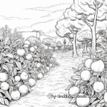 Realistic Scenes of Orange Grove Coloring Pages 4