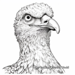 Realistic Seagull Portrait Coloring Pages for Adults 4