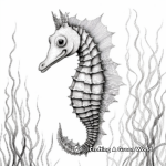 Realistic Seahorse Coloring Pages 1