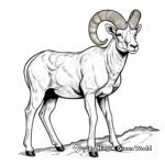 Realistic Sierra Nevada Bighorn Sheep Coloring Pages 4