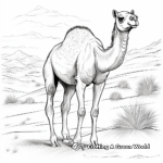 Realistic Single Camel in the Desert Coloring Sheets 4