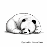 Realistic Sleeping Panda Bear Coloring Pages 3