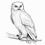 Realistic Snowy Owl Coloring Sheets 2