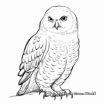 Realistic Snowy Owl Coloring Sheets 3