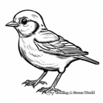 Realistic Sparrow Bird Coloring Sheets 1