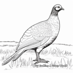 Realistic Swinhoes Pheasant Coloring Pages 4
