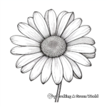 Realistic White Daisy Coloring Pages 4