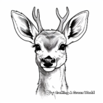 Realistic White-Tailed Deer Head Coloring Pages 1
