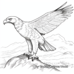 Realistic White-Tailed Eagle Coloring Pages 2